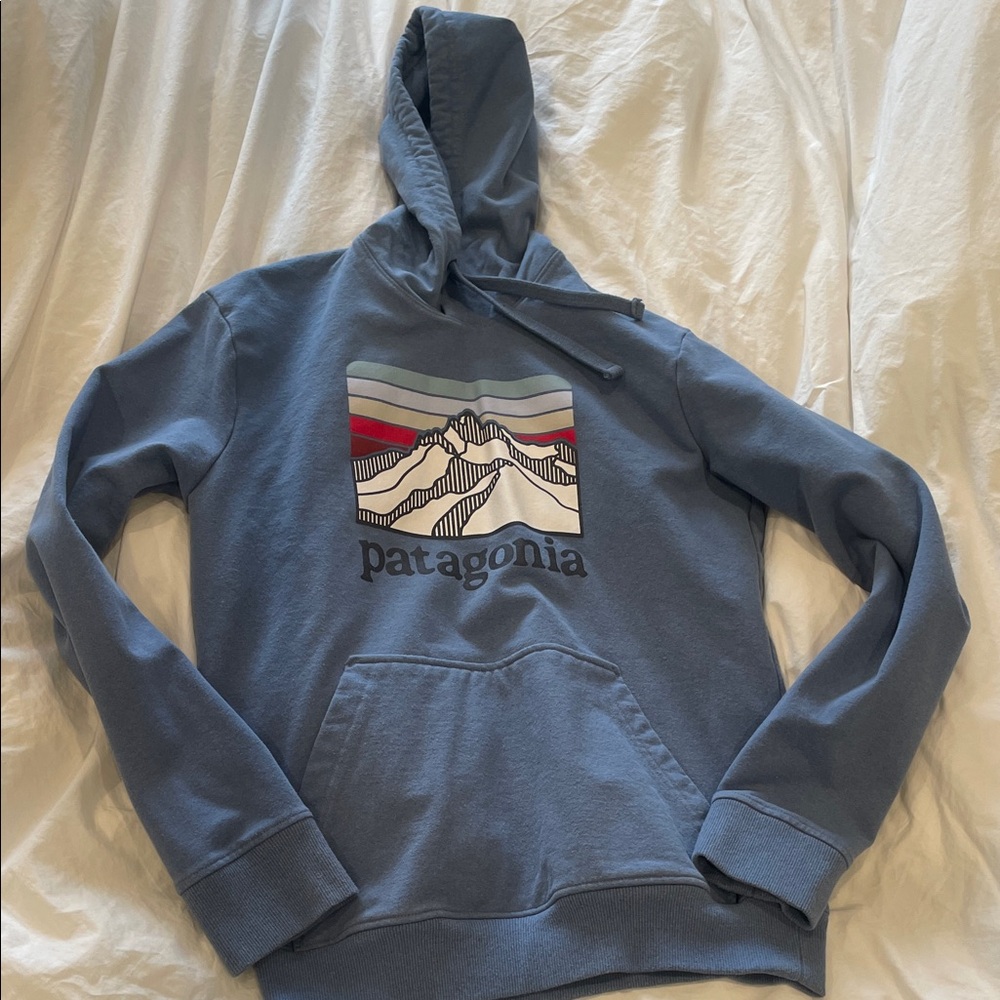 Patagonia Blue Hoodie with Mountain Design